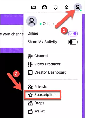 check subscriptions in twitch channel