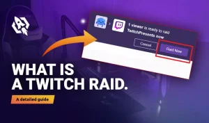 What Is a Twitch Raid