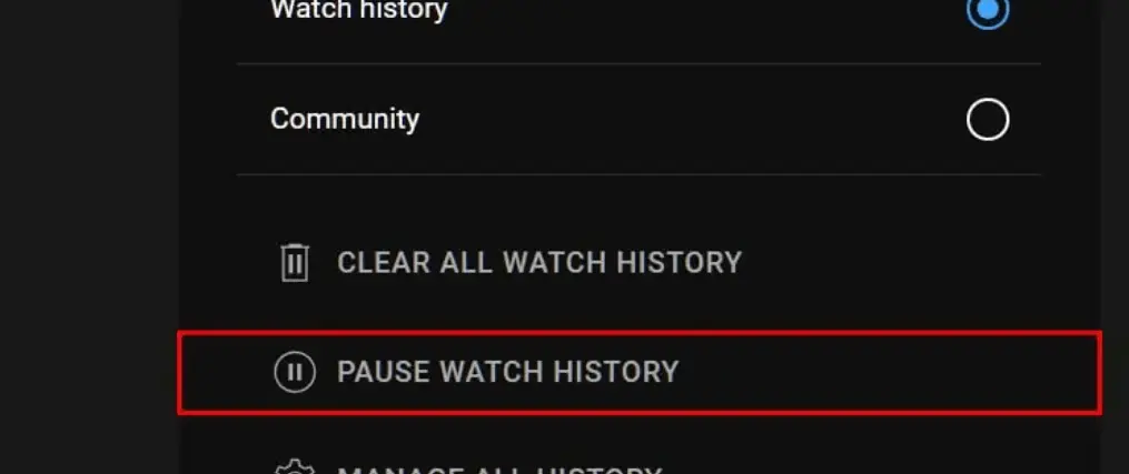 pause watch history