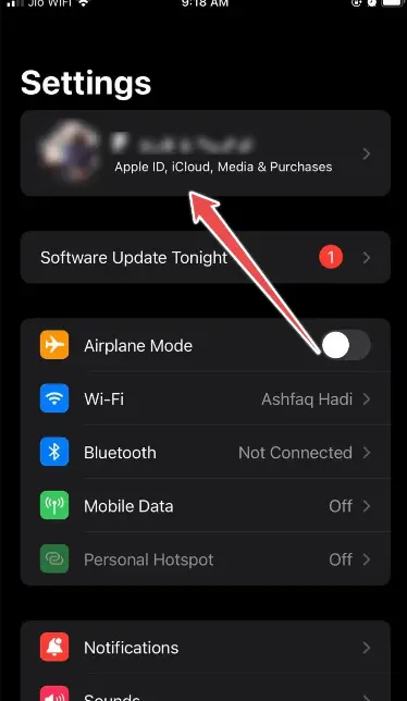 settings on your Apple device