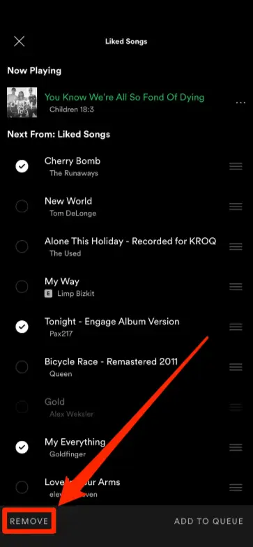 remove unwanted or annoying stuff from your Spotify queue