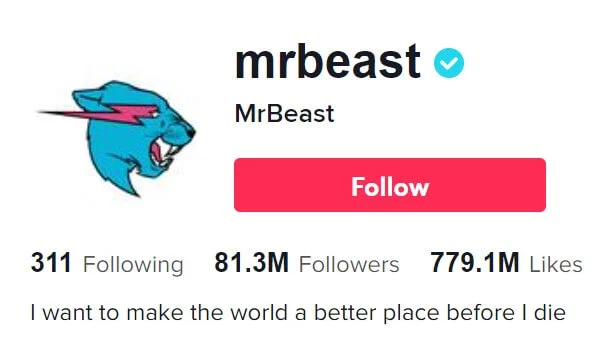 MrBeast tiktok profile